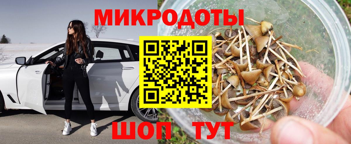 Псилоцибиновые грибы GOLDEN TEACHER Рязань