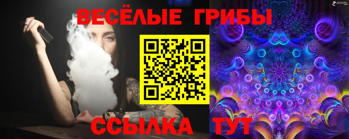 Галлюциногенные грибы MAGIC MUSHROOMS  Вход с VPN  Рязань 